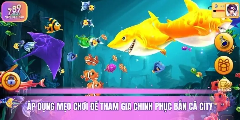 Áp dụng mẹo chơi để tham gia chinh phục bắn cá city