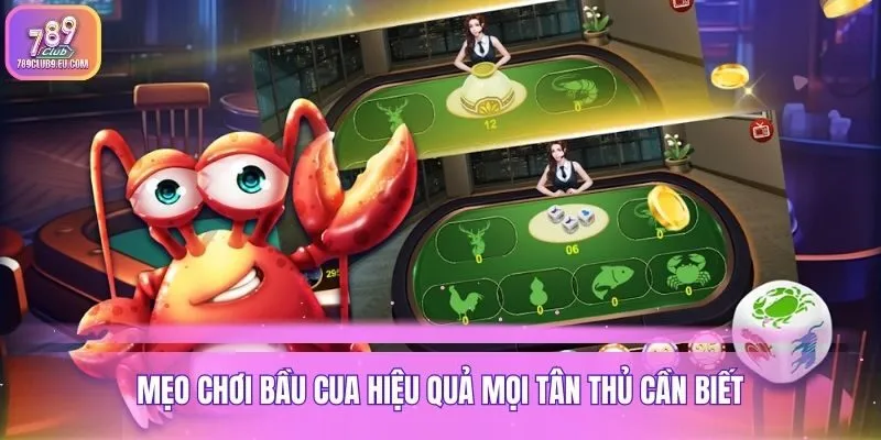 Mẹo chơi bầu cua hiệu quả mọi tân thủ cần biết